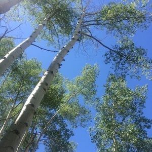 Meet your Posher, Charlotte